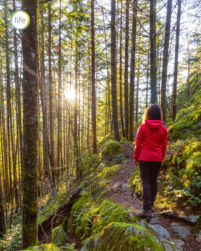 woman in red coat walking in woods with sunlight through trees